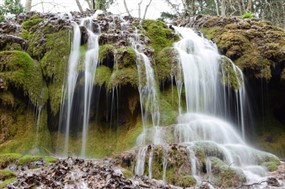 森林瀑布流水图片